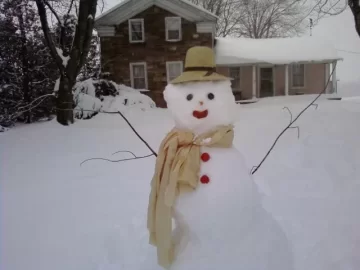 [Hearth.com] Snow Day....