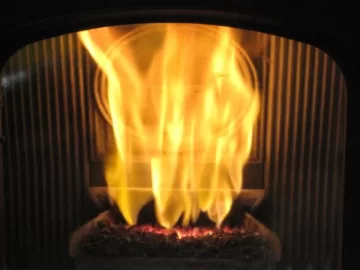 [Hearth.com] Burning Acai pits!