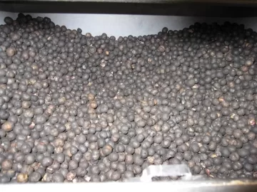 [Hearth.com] Burning Acai pits!