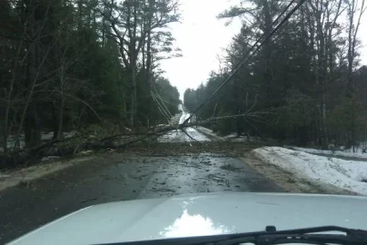 [Hearth.com] Snow pics from lower NY