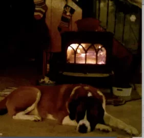 [Hearth.com] What I've learned as a first year burner....