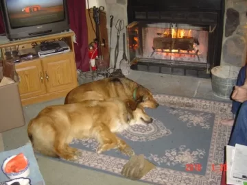 [Hearth.com] Englander NC30  YES OR NO
