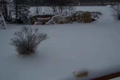 [Hearth.com] Weather change yesterday,today