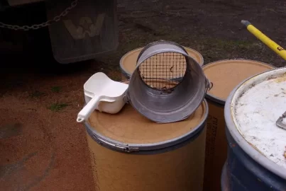 [Hearth.com] Nut Shell piggy