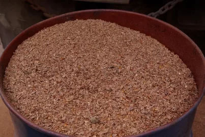 [Hearth.com] Nut Shell piggy