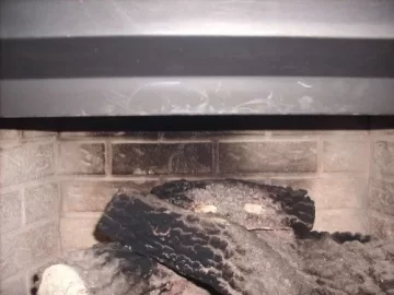 [Hearth.com] Looking for Insert Recommendations