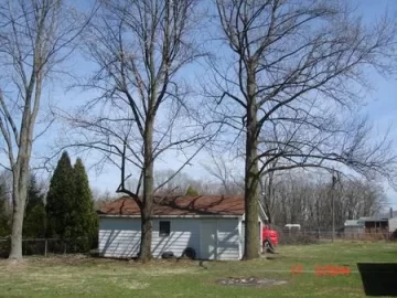 [Hearth.com] Camp Daleville!