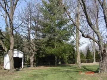 [Hearth.com] Camp Daleville!