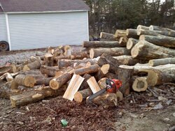 log load coming today...