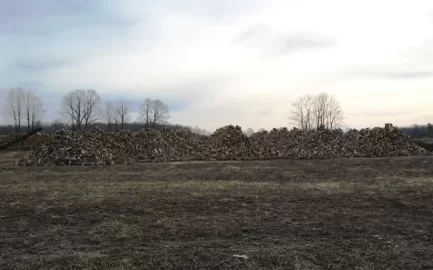 [Hearth.com] Got Wood?