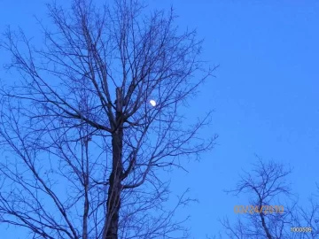 [Hearth.com] The Moon Tonight