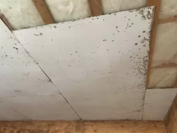 [Hearth.com] Storing Wood in Garage Question