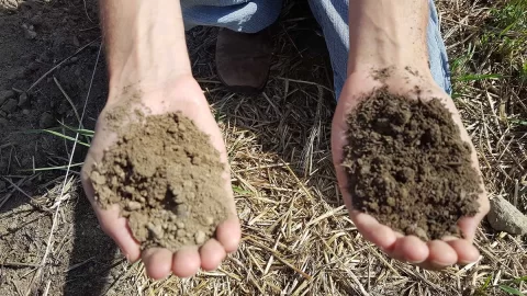 soils_compare_web.jpg