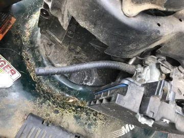 Replacing a gas tank on a Sears Craftsman 22”  push mower purchased Aug 2001?