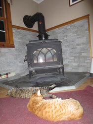 Freestanding Stove and Cats