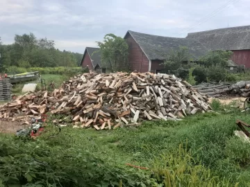 How much wood? (Pics)