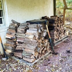Storing firewood near foundation