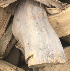 Identify wood