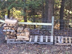 1st stacks firewood.JPG