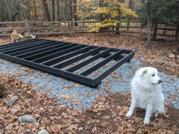 Shed build underway