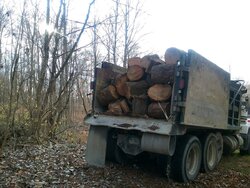 My share of over 200 tons of white oak.