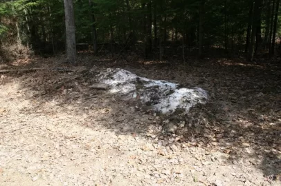 [Hearth.com] Snowbank?