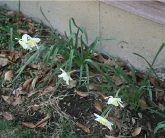 [Hearth.com] Ahh...SPRING!