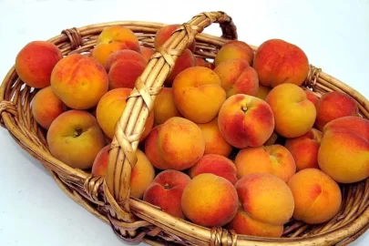 [Hearth.com] A real peach