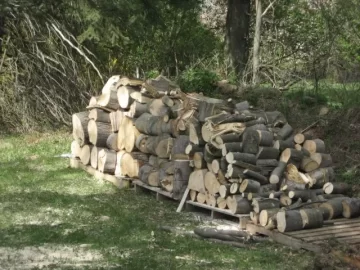 [Hearth.com] Speaking of Maple
