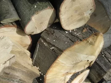 [Hearth.com] Speaking of Maple