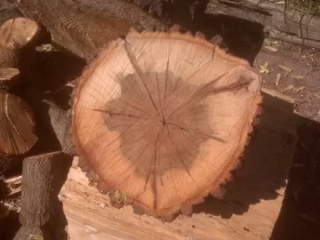 [Hearth.com] Red Oak?
