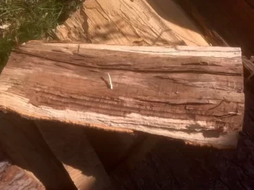 [Hearth.com] Red Oak?