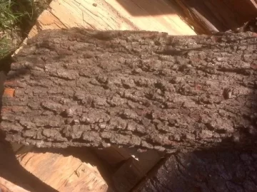 [Hearth.com] Red Oak?