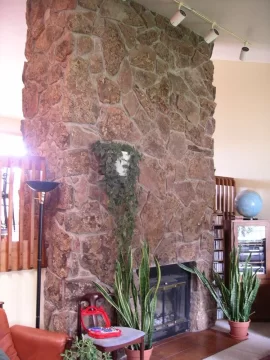 [Hearth.com] Jotul or Hearthstone?  Size and placement.