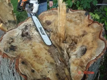 [Hearth.com] Red Oak?