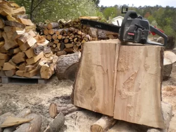 [Hearth.com] Noodling with the Craftsman