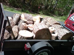 Another Load of FREE wood - CL find