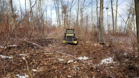 20201230_125956.jpg 20201230_125956.jpg