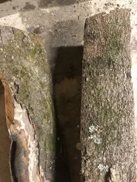 [Hearth.com] Wood ID