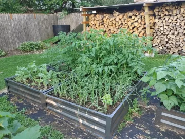 2021 Garden Thread