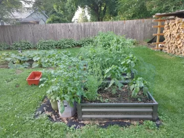 2021 Garden Thread