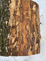 Help me id this wood