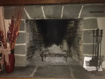 Looking for opinions and thoughts on wood burning for large masonry fireplace opening