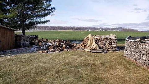 Wood Haul