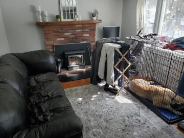 [Hearth.com] Wood burning stove in basement