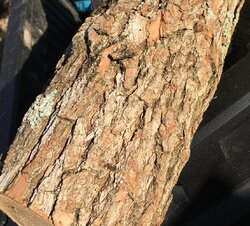 What is this wood?