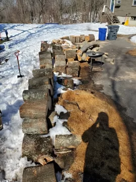 [Hearth.com] Snow Melt Reveals Hidden Treasure