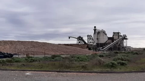 Wood power plant & oak being chipped