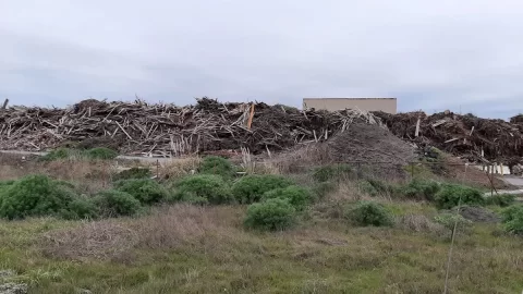 Wood power plant & oak being chipped