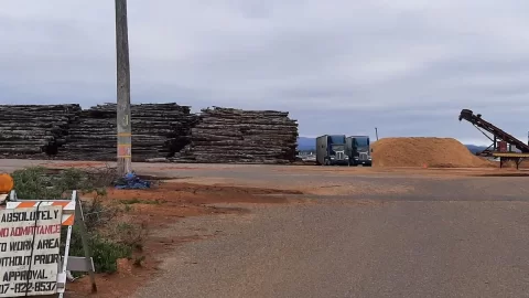 Wood power plant & oak being chipped